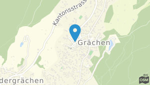 Hotel Eden Grachen und Umgebung