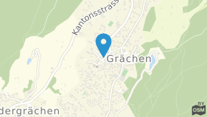 Desiree Hotel Grachen und Umgebung