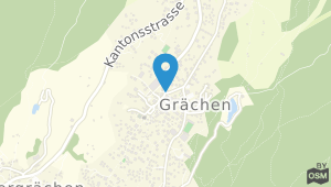 Elite Hotel Grachen und Umgebung