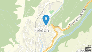 Des Alpes Hotel Fiesch und Umgebung