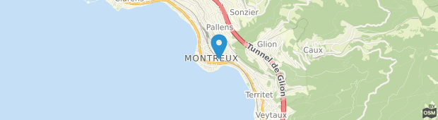 Umland des Le National Apartment Montreux