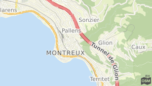 Montreux und Umgebung