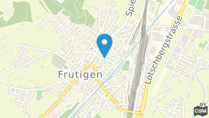 Hotel National Frutigen und Umgebung