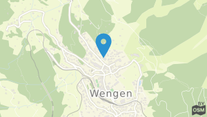 Jungfraublick Hotel Wengen und Umgebung