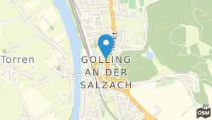 Gasthof Goldene Traube Golling an der Salzach und Umgebung