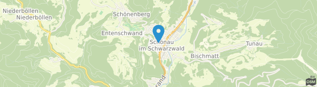 Umland des Hotel-Gasthof Vier Löwen, Schönau im Schwarzwald
