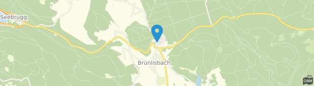 Umland des Brauereigasthof Rothaus / Grafenhausen