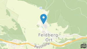 Hotel Feldberger Hof Feldberg und Umgebung