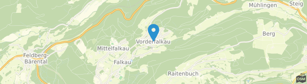 Umland des Pension Restaurant Waldblick Feldberg (Baden-Württemberg)