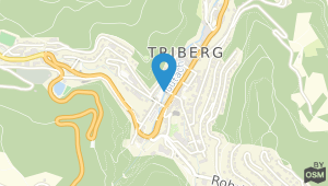 Hotel Garni Central / Triberg und Umgebung