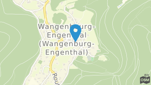 Parc Hotel Wangenbourg und Umgebung