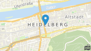 Altstadt Hotel Heidelberg und Umgebung