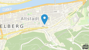 Arthotel Heidelberg und Umgebung