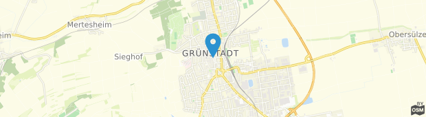 Umland des Pension Grünstadt