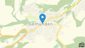 Hotel Gemündener Hof und Umgebung