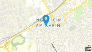 Hotel Erholung / Ingelheim am Rhein und Umgebung
