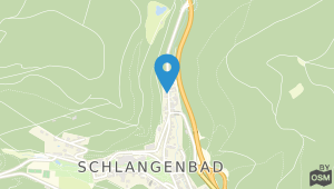 Hotel Ricarda Schlangenbad und Umgebung