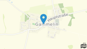 Hotel und Landgasthof zum Hahn / Gammelin und Umgebung