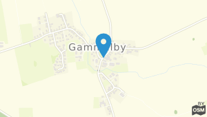 Hotel Gammelby und Umgebung